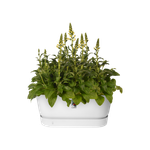 greenville pflanzgefäß 80cm rollen weiss